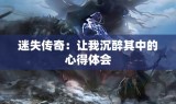 迷失传奇：让我沉醉其中的心得体会