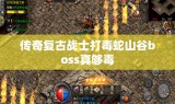 传奇复古战士打毒蛇山谷boss真够毒