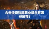 合击传奇私服职业组合有哪些推荐？