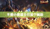 不要小看道士只是个辅助