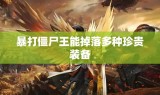 暴打僵尸王能掉落多种珍贵装备
