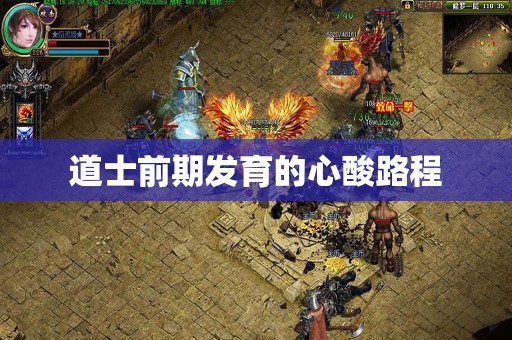 道士前期发育的心酸路程