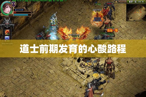 道士前期发育的心酸路程