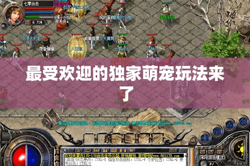最受欢迎的独家萌宠玩法来了