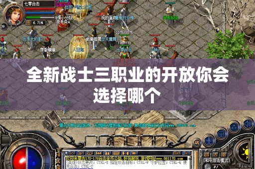 全新战士三职业的开放你会选择哪个