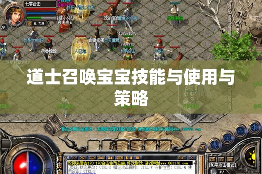 道士召唤宝宝技能与使用与策略