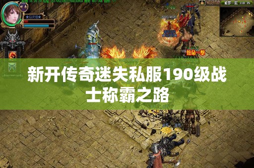 新开传奇迷失私服190级战士称霸之路