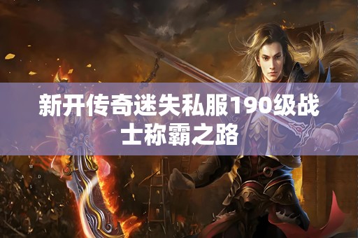 新开传奇迷失私服190级战士称霸之路