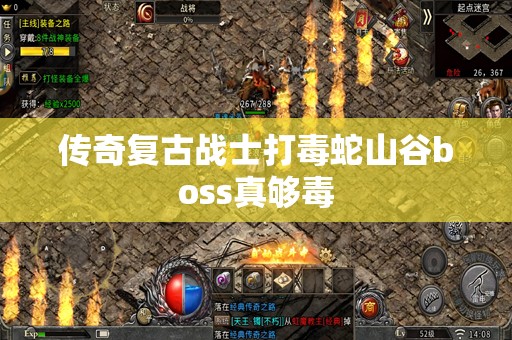传奇复古战士打毒蛇山谷boss真够毒