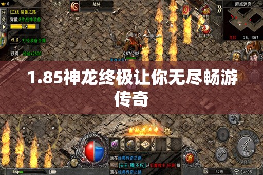 1.85神龙终极让你无尽畅游传奇