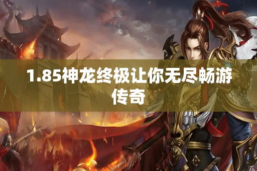 1.85神龙终极让你无尽畅游传奇