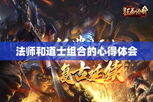 法师和道士组合的心得体会
