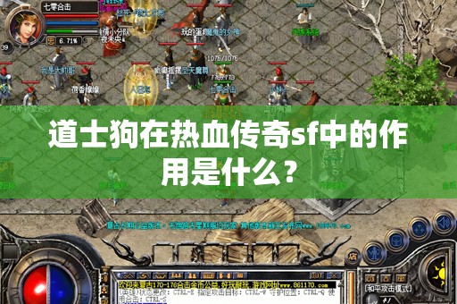 道士狗在热血传奇sf中的作用是什么？