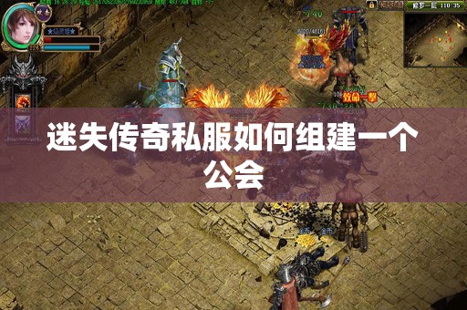 迷失传奇私服如何组建一个公会