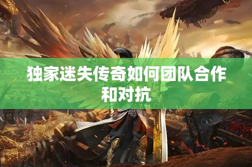 独家迷失传奇如何团队合作和对抗