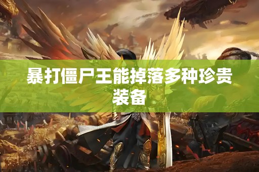 暴打僵尸王能掉落多种珍贵装备
