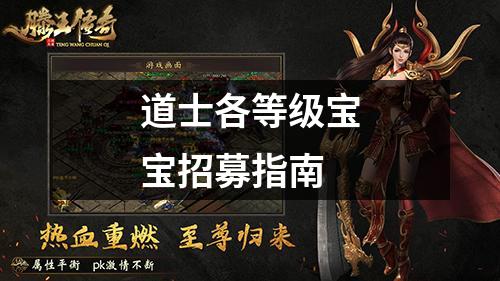 道士各等级宝宝招募指南