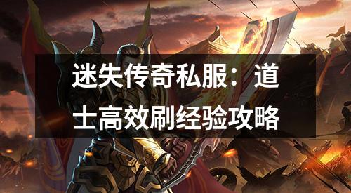 迷失传奇私服：道士有效刷经验攻略