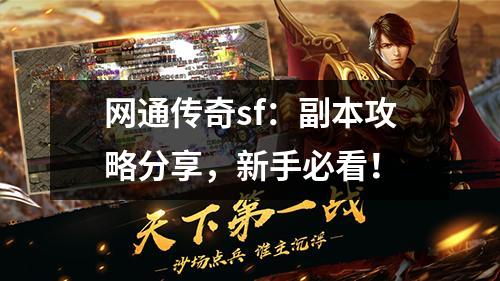 网通传奇sf:副本攻略分享,新手必看!