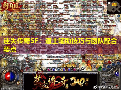 迷失传奇SF：道士辅助技巧与团队配合要点