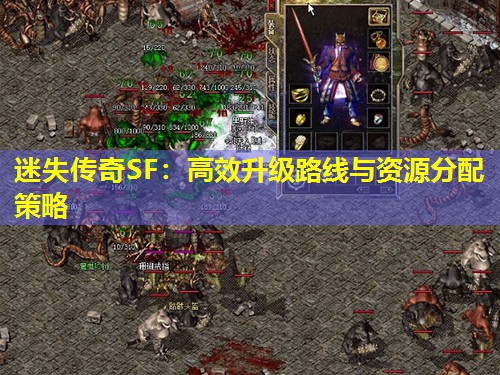 迷失传奇SF：有效升级路线与资源分配策略