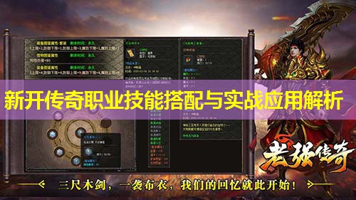 新开传奇职业技能搭配与实战应用解析