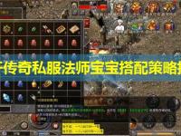 新开传奇私服法师宝宝搭配策略指南
