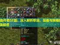 热血传奇SF版：深入解析职业、装备与策略的完美结合